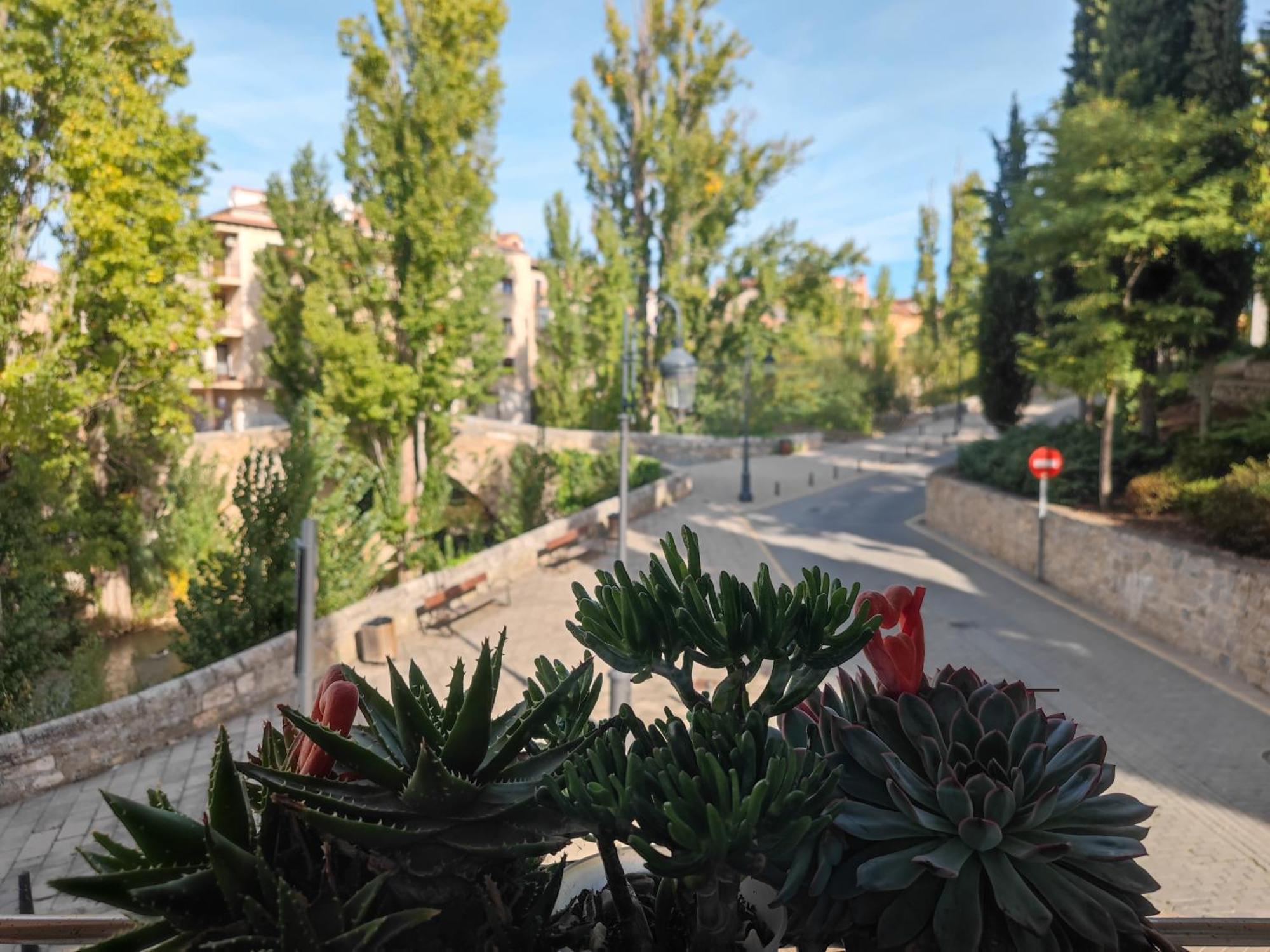 Alojamiento Mirabuenos Aranda de Duero Buitenkant foto